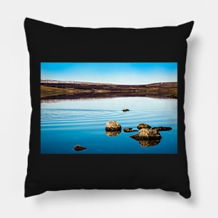 Cow Green Reservoir Pillow