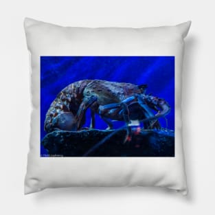 Rock Lobster Pillow