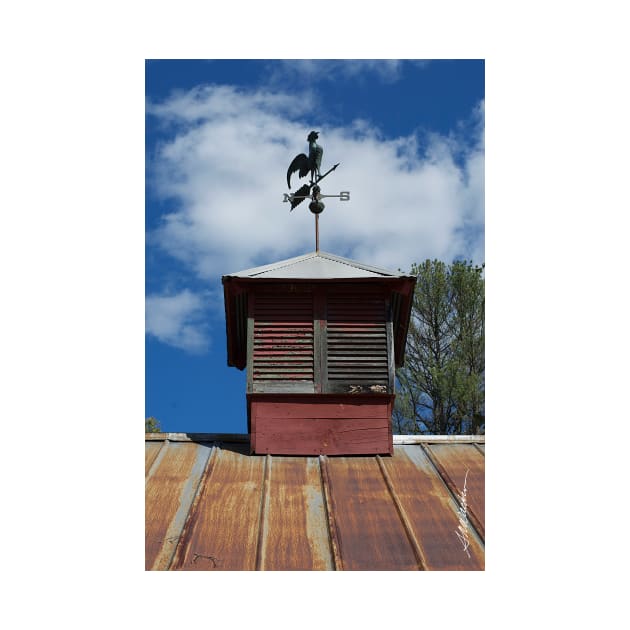 Cupola & Weathervane by srwdesign