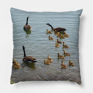 Family Of Canada Geese Swimming In The Water Pillow