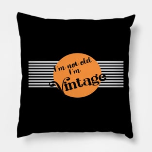 Fun Design For Baby Boomers Pillow