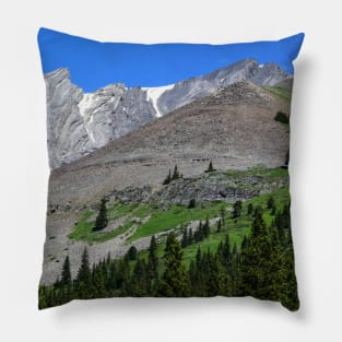 Summer Mountain Scene. Pillow