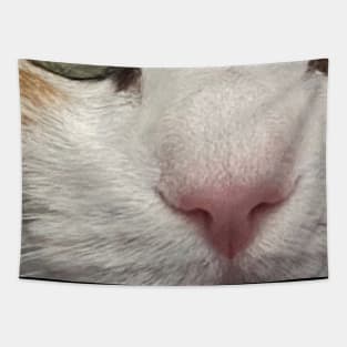 Cat Nap Tapestry