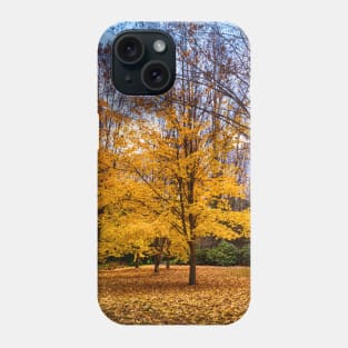 Golden Autumn in New Zealand Phone Case