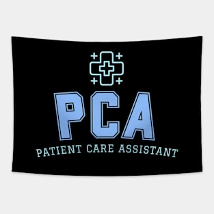 PCA Patient Care Assistant Nurse Tapestry