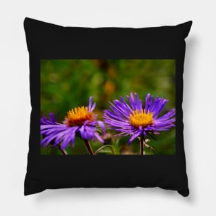 Purple Aster Blossoms Pillow