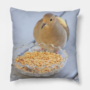 Mourning Dove No.1 Pillow