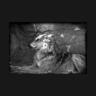 Wolf in Black and White T-Shirt