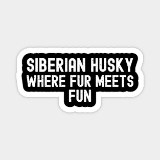 Siberian Husky Where Fur Meets Fun Magnet