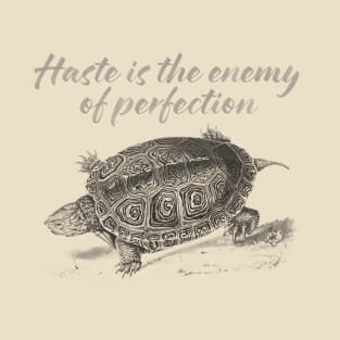 Haste is the enemy of perfection T-Shirt