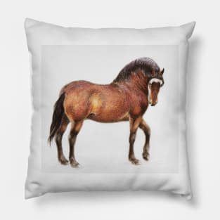 Welsh stallion in colored pencil Pillow