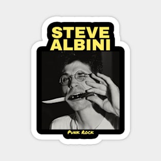 Steve Albini Magnet