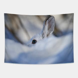 Snow Shoe Hare Tapestry