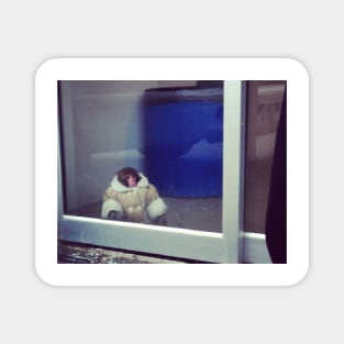 IKEA Monkey Magnet