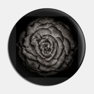 Backyard Flowers In Black And White No 85 Pin