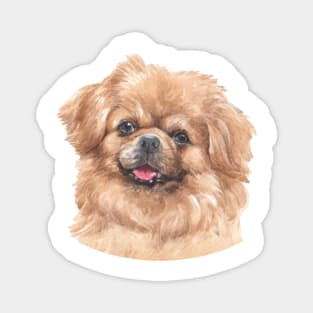 Tibetan Spaniel Watercolor Art Magnet