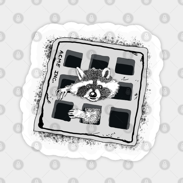 Raccoon Stuck in Grate Illustration Magnet by H. R. Sinclair