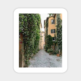 Vines On A Narrow Roman Street Magnet