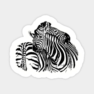 Affectionate Zebras | African Wildlife Magnet
