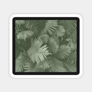 Green Dark Forest at Night, Fern Garden Plants Magnet