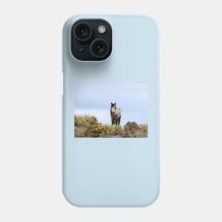 Wild horses, mustangs, Wild Pearl Phone Case