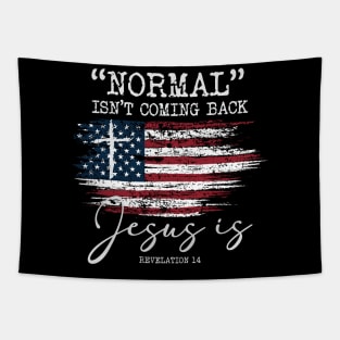 Normal Isn't Coming Back Hoodie Tapestry