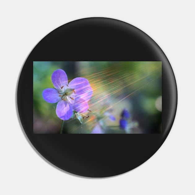 Delicate Purple Flower With Rainbow Lens Flare Pin by 1Redbublppasswo