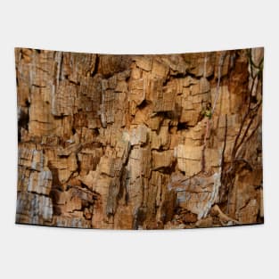 Rinde / Swiss Artwork Photography Tapestry