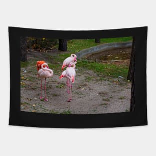 Pink and red flamingo Tapestry