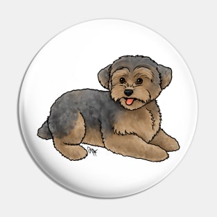 Dog - Yorkipoo - Brown and Blue Pin