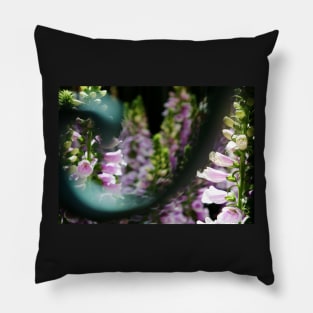 Peekaboo Foxglove Pillow