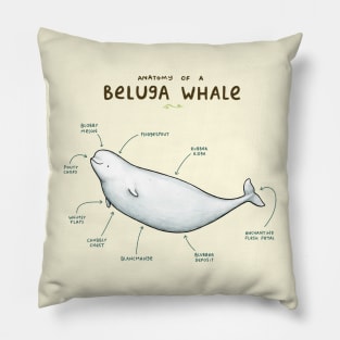 Anatomy of a Beluga Whale Pillow