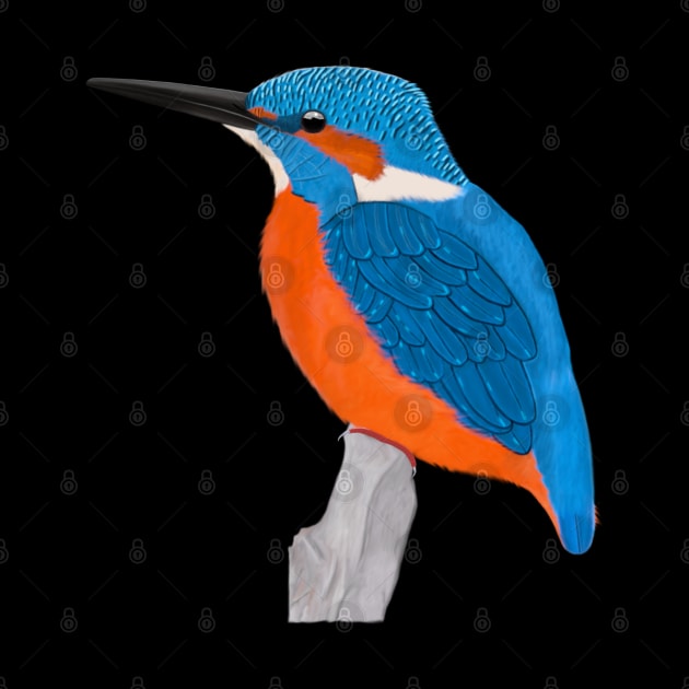 Kingfisher Bird Watching Birding Ornithologist Gift by jzbirds