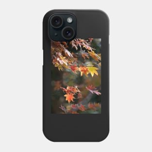 Autumn in the Air Phone Case