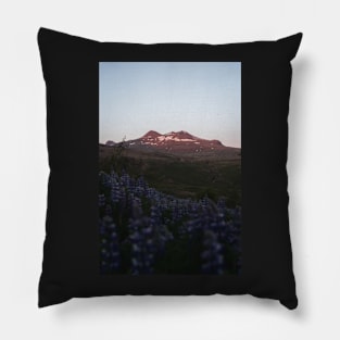 Magical Sunset in the Icelandic Mountains with lupin flowers Pillow