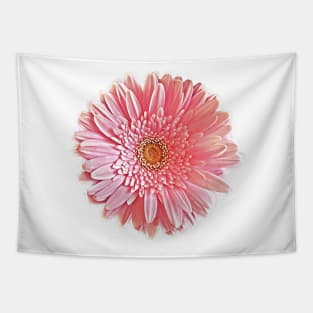 Pink Gerbera Daisy Tapestry