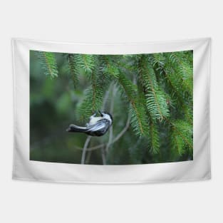 Chickadee & pine branches Tapestry