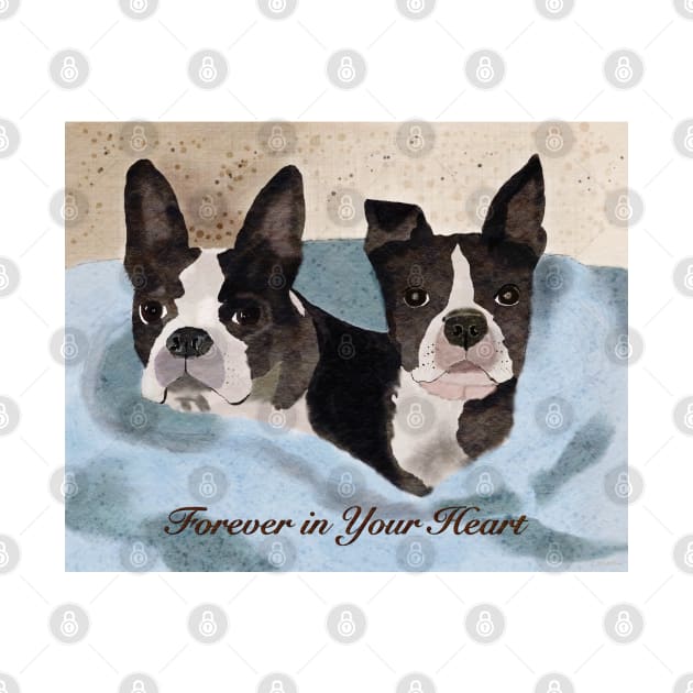 Beloved Boston Terriers by ngiammarco