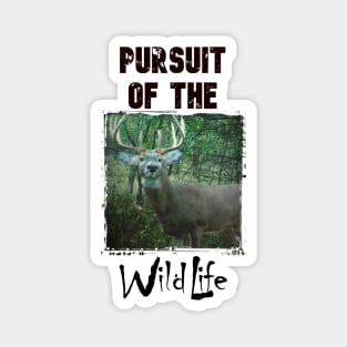 Pursuit of the WildLife Buck White Magnet