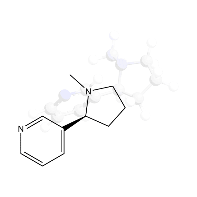 Nicotine Molecule by ChemECool