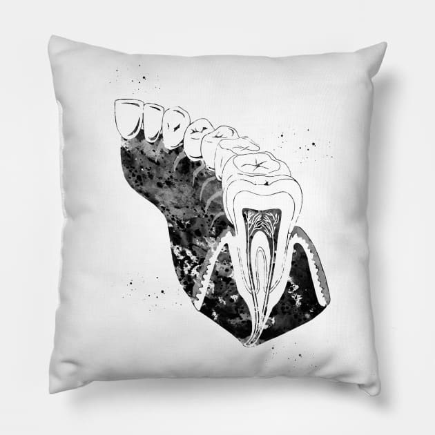 Molar Tooth Section Pillow by erzebeth