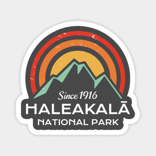 Haleakala National Park Retro Magnet