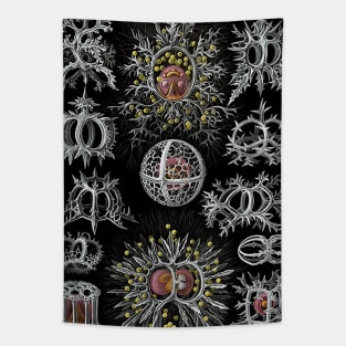 Sea Life Animals Tapestry