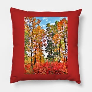 Fall Colors Pillow