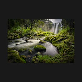 Whangarei Falls T-Shirt