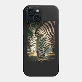 Zebra herd eating Phone Case