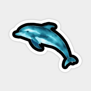 Dolphin Magnet