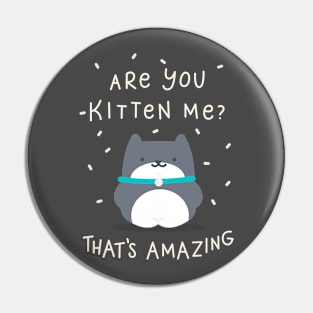 Cute kitten Pin