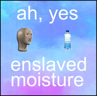 ah yes enslaved moisture meme Magnet