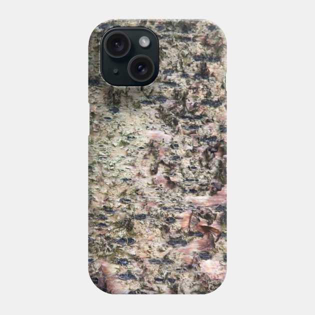 Old torn tree Phone Case by textural